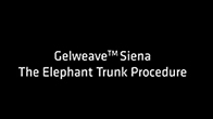 Операция «Хобот слона» с применением протеза Gelweave Siena